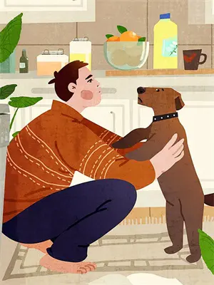 灌篮：樱木军团柯北一郎完本热门小说_完本小说免费灌篮：樱木军团(柯北一郎)