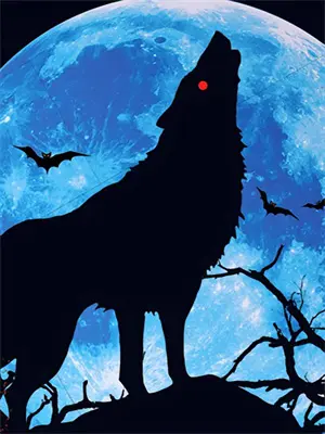 往生契：逆命者的永恒轮回(凌昭凌昭)免费小说阅读_免费小说完整版往生契：逆命者的永恒轮回(凌昭凌昭)